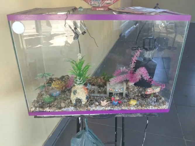 Aquário 60 l com todos os acessórios