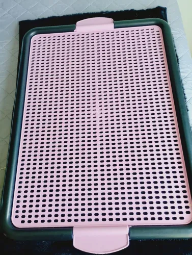 Banheiro para pet