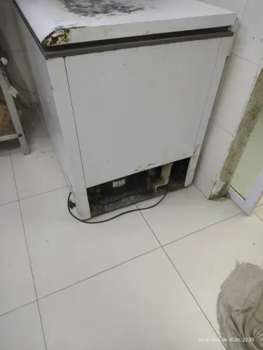 Freezer Horizontal 110 e 220