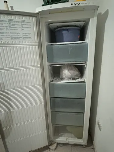 Freezer FE26