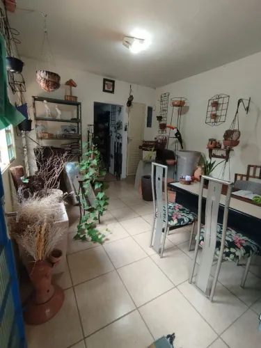 Oportunidade Mercadorias Floricultura
