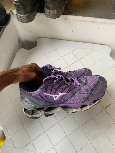 Mizuno prophecy 8