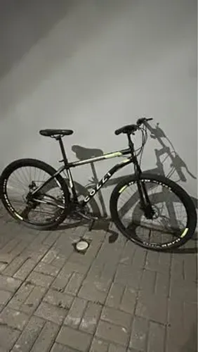 BICICLETA COLLI ARO 29?