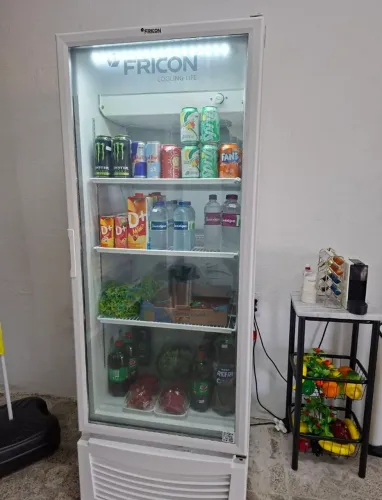 Vendo expositor fricon Zero com garantia!