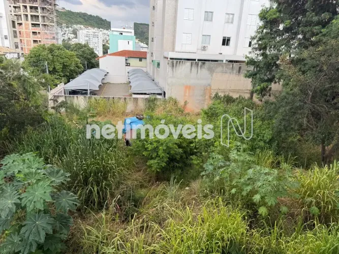 Excelente lote de 420m²; no Castelo