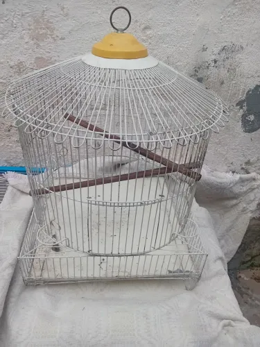 Gaiola CALOPSITA top