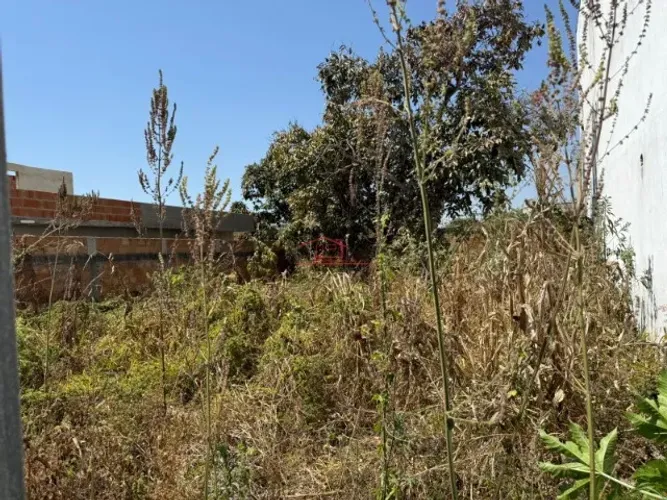 Oportunidade lote bairro Céu Azul 262m2 299.000,00