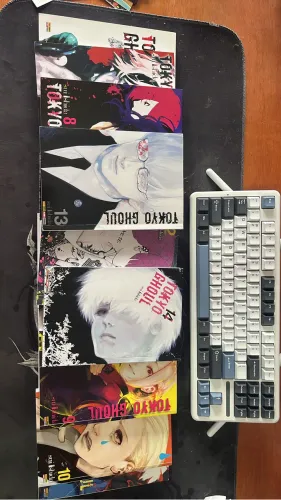 Mangá tokyo ghoul (volume do 1 ao 14+ cards+marca páginas) em perfeito estado