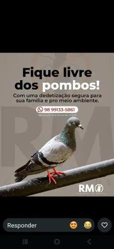 Dedetização em São Luís - MA | RM Controle de Pragas