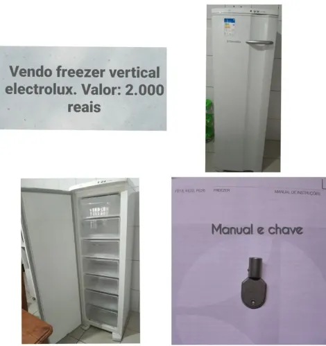 Freezer vertical