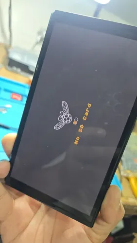 Nintendo Switch OLED Desbloqueado