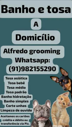 Banho e tosa a domicílio