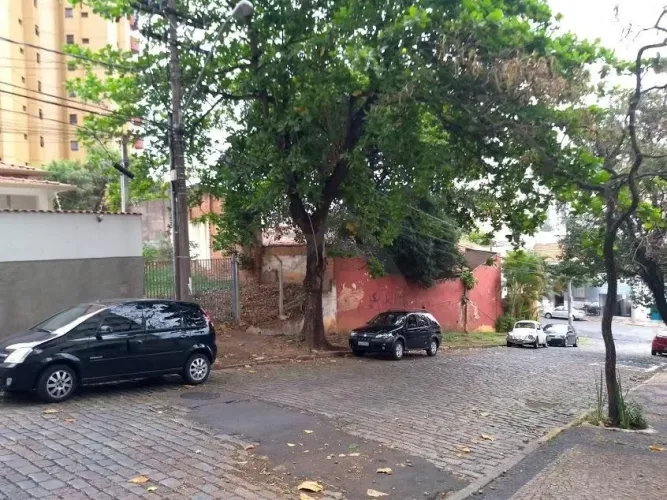 Terreno à venda em Campinas, Cambuí, com 364 m²