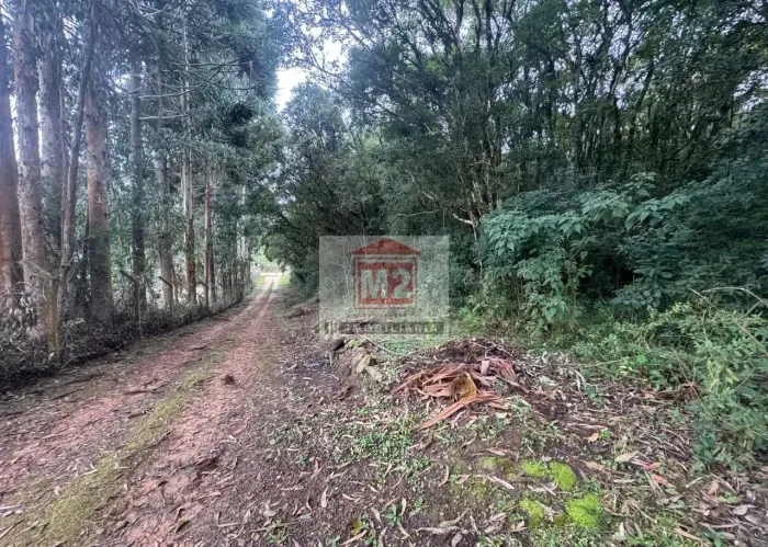 A CHÁCARA DOS SEUS SONHOS EM MANDIRITUBA .......
