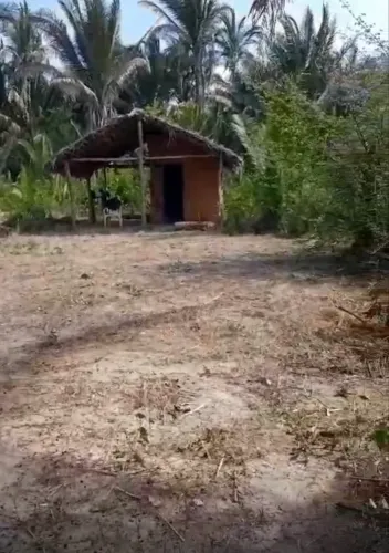 Terreno 50x100