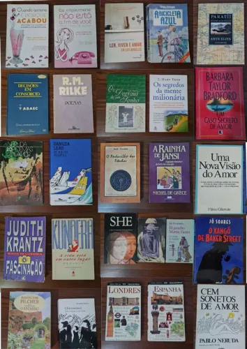 Lote de livros 