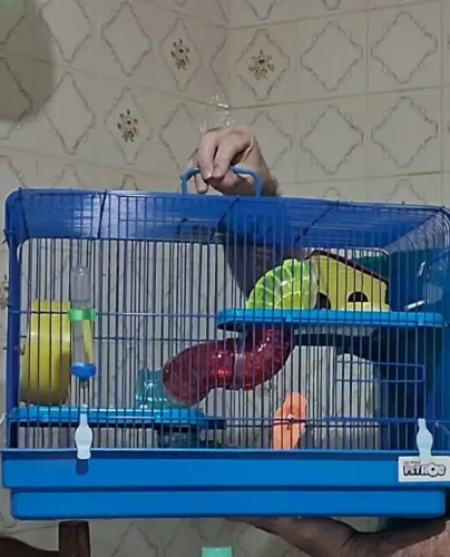 Gaiola para hamster 