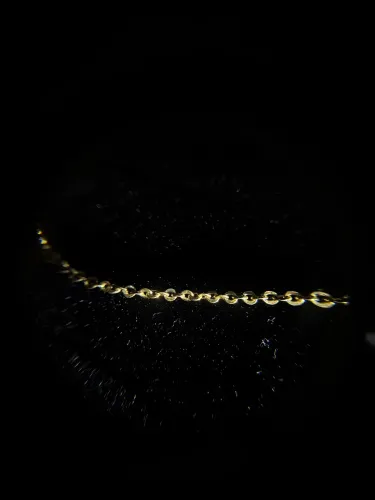 Pulseira Ouro 18K Unissex 19cm Elo Português 