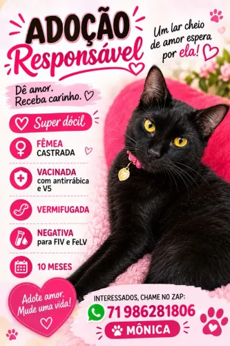 Gata