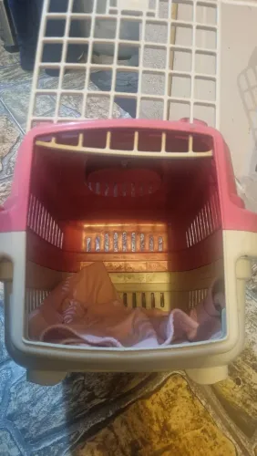 Casinha de cachorro