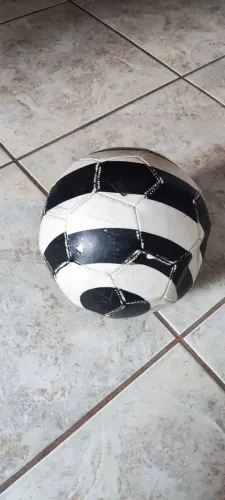 Bola