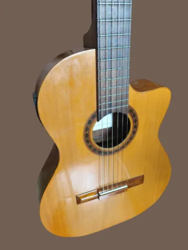 Di Giorgio Talent SL1 2005