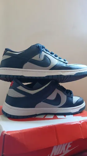 Tênis Nike Dunk Sb Low 