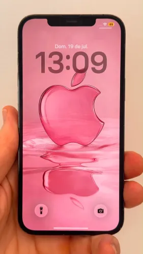 Apple iPhone 12 Pro Max 256 gigas bateria boa