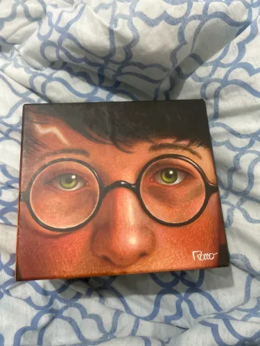 Box Harry Potter edição comemorativa