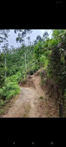 Terreno de sítio com platô pequeno para chalé 2900 metros