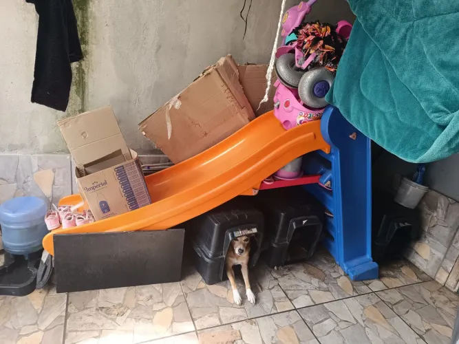 Escorregador infantil