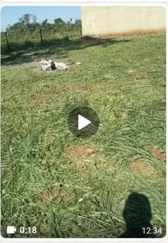Terreno jardim