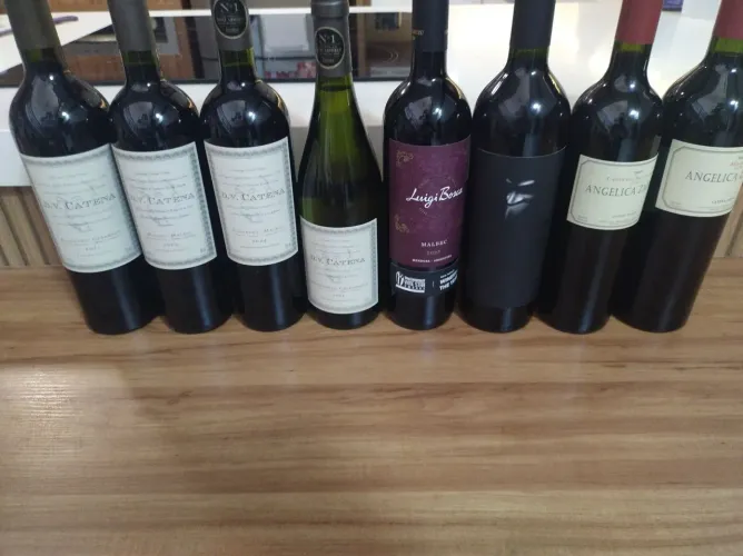 Vinhos Argentinos