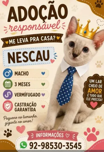Doação de animais