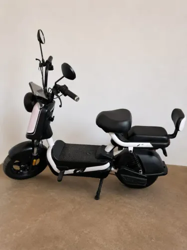 Scooter Elétrica Panda J10 - Pronta para Uso).