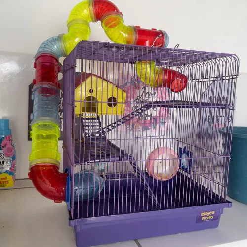 Gaiola hamster