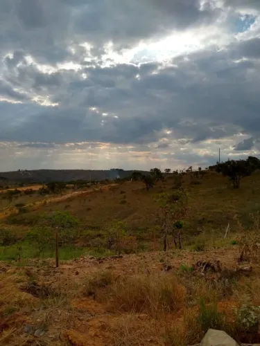 Uma terreno