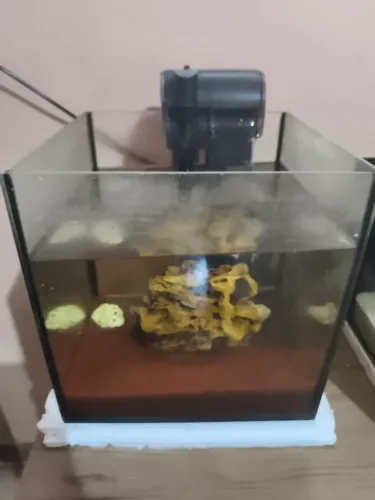 Vendo aquário cubo