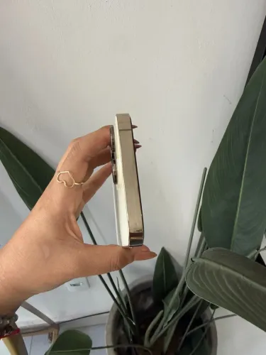 iPhone 14 Pro Max 156 gigs