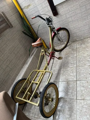 Bicicleta triciclo com 7 marchas dream bike .