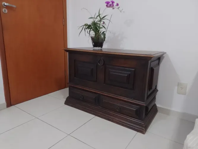 Baú Retrô Relíquia . Móvel na família a 65 anos 