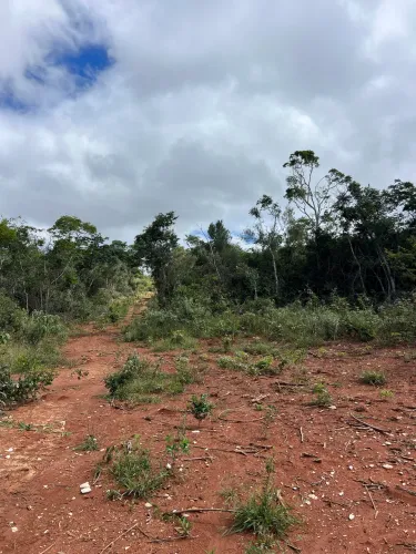 Propriedade a Venda 39ha