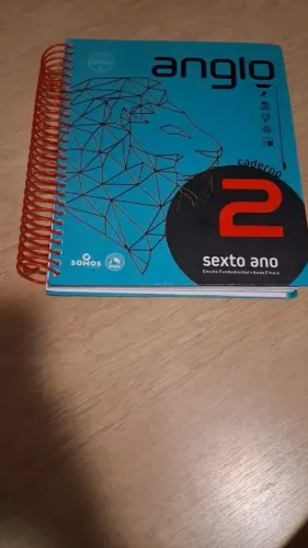 Apostila Anglo 6o Ano Caderno 2