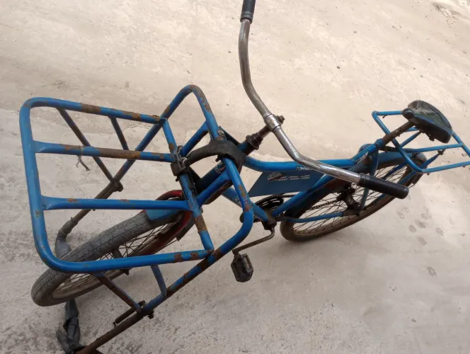Bicicleta cargueira