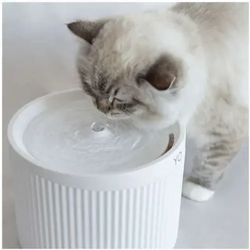 Fonte de Agua Gatos WOLLIE
