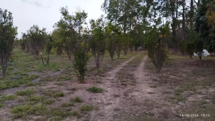 Chácara 17 hectares Próx. Brasília | Piscina, Pomar 1.000 Ponkan e Córrego