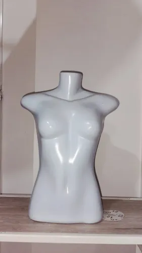 Busto Feminino Conservado- Pronto para Uso