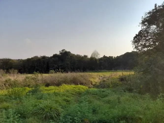Excelente Chácara com amplo lago para venda tem 98069 metros quadrados em Campo de Santana