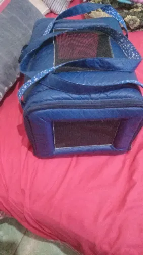 Transporte pra cachorro 