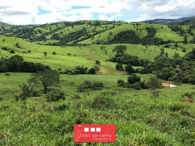 Fazenda para Venda em São Luiz do Norte